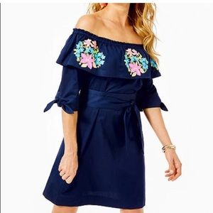 NWT Lily Pulitzer Vanessa Dress sz Large